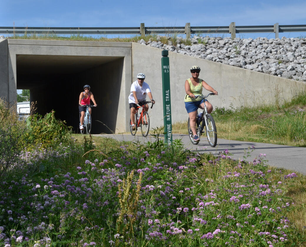 Pumpkinvine Trail - Middlebury tunnel